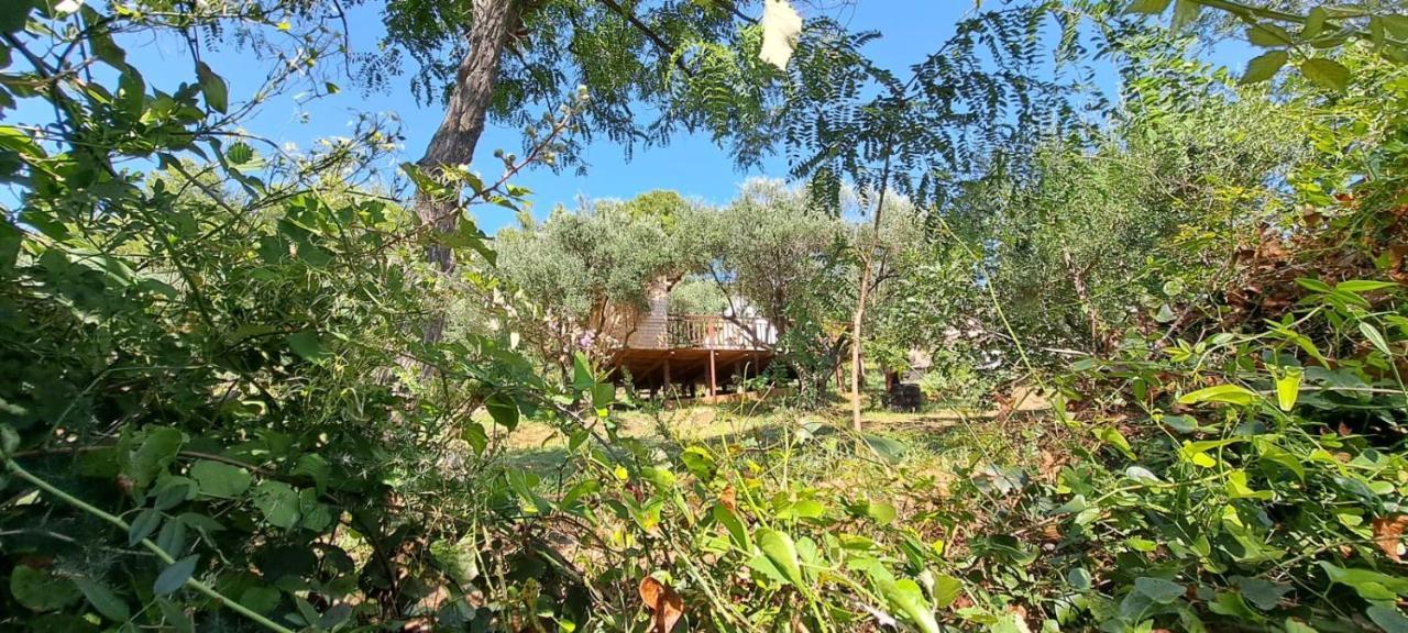 Glamping Bell Tent Robinson