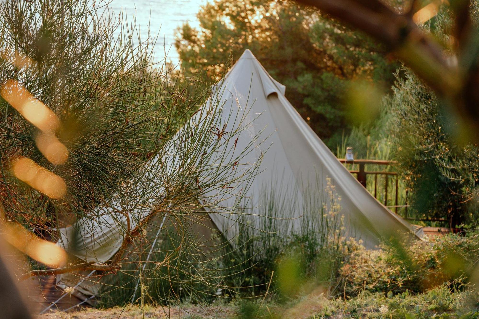 Glamping Bell Tent Robinson *